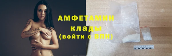 PSILOCYBIN Кукмор