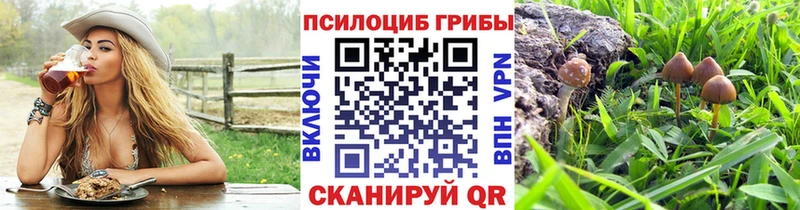 закладка  Ангарск  Галлюциногенные грибы GOLDEN TEACHER 