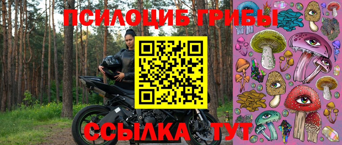 Ангарск  сколько стоит  Вход с VPN  Псилоцибиновые грибы MAGIC MUSHROOMS 